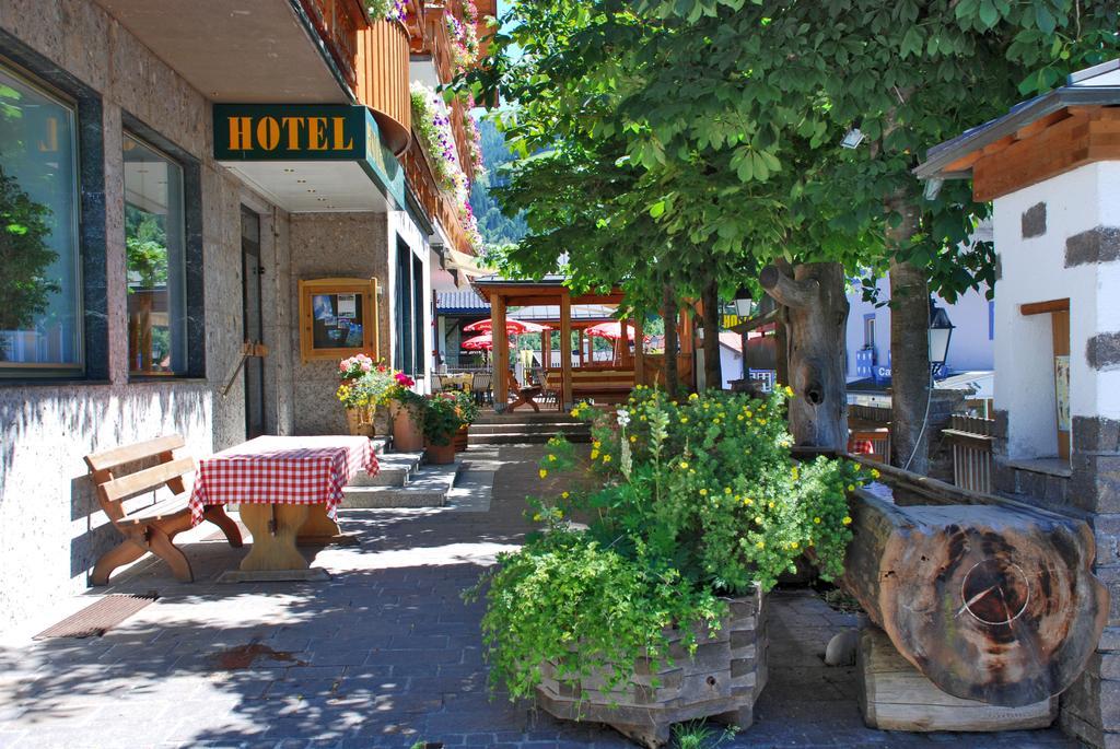 Hotel Alpenrose Muehlbach Am Hochkoenig Eksteriør billede